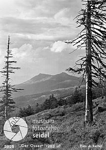 Pohled ze Svarohu na vrcholy Ostrého, zdroj: 103_23_01_01_01_010_00_S6_0239, foto: František Seidel, před rokem 1940