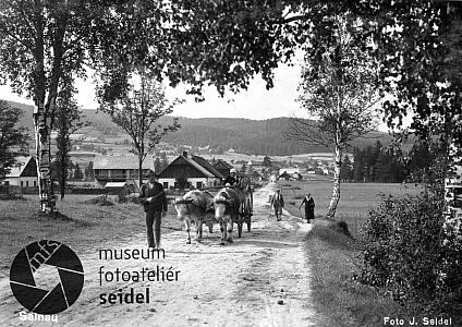 Želnava, zdroj: 103_23_01_01_01_003_00_S6_0189, foto: František Seidel, po roce 1935