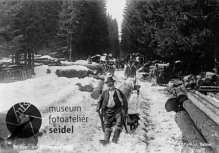 Svážení dřeva na Šumavě pod Plešným jezerem, zdroj: http://fotobanka.seidel.cz/#!fotobanka/detail/203041001030070160001, foto: Josef Seidel, 1899